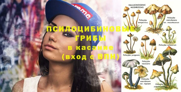 mdpv Новодвинск