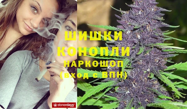 mdpv Новодвинск