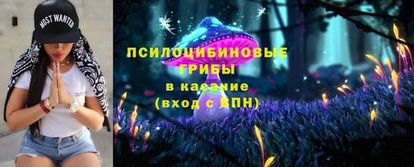 mdpv Новодвинск