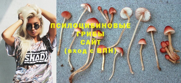 mdpv Новодвинск