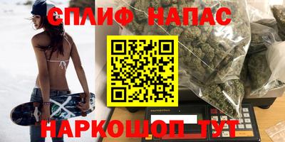 spice Гусев