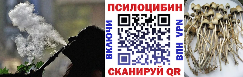 кракен   Томск  Псилоцибиновые грибы мухоморы  купить  