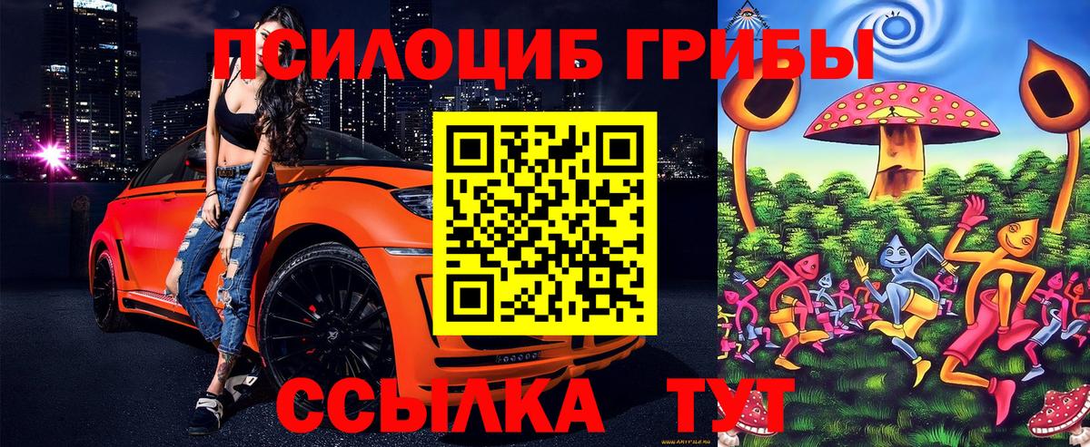 Галлюциногенные грибы Magic Shrooms Томск